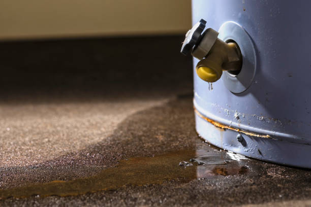 Best Professional water damage repair  in Montgomery, GA