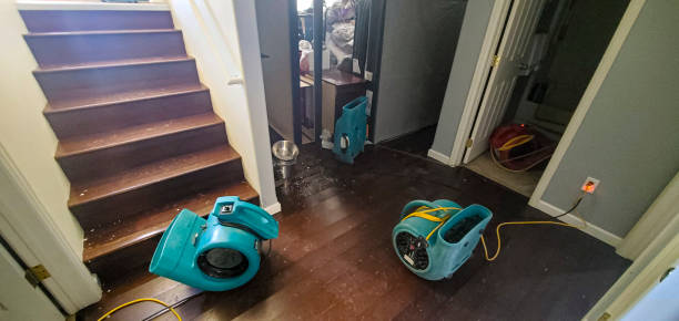 Best Water damage cleanup near me  in Montgomery, GA