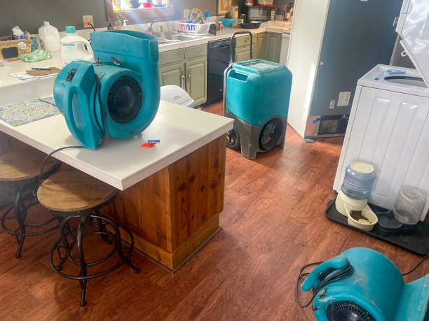 Trusted Montgomery, GA Water damage restoration Experts