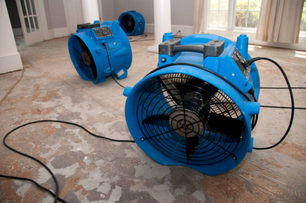 Best Professional water damage repair  in Montgomery, GA