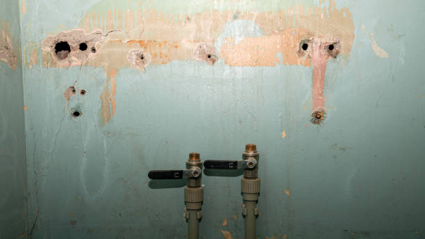 Best Flood damage cleanup  in Montgomery, GA