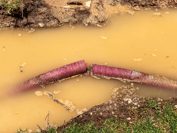 Carpet water damage restoration in Montgomery, GA