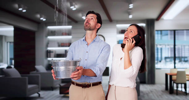 Best Basement water damage restoration  in Montgomery, GA