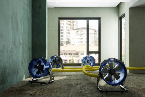 Best Water damage restoration near me  in Montgomery, GA
