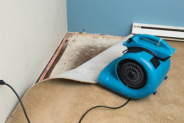 Best Local water damage restoration  in Montgomery, GA